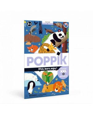 Αυτοκόλλητα Discovery, Good Night