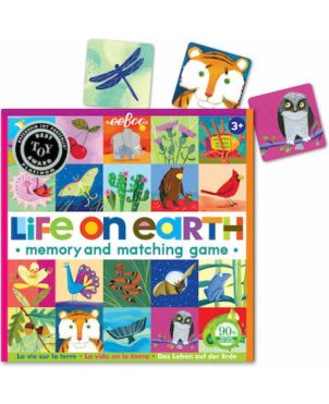 Παιχνίδι μνήμης ,Life On Earth