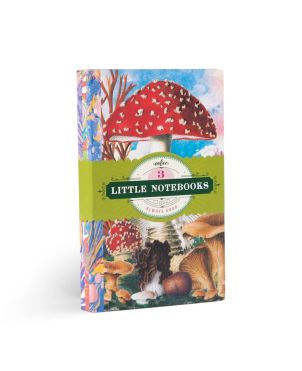 Σετ 3 τμχ. Μικρά Σημειωματάρια, Fumiha’s Little Notebooks